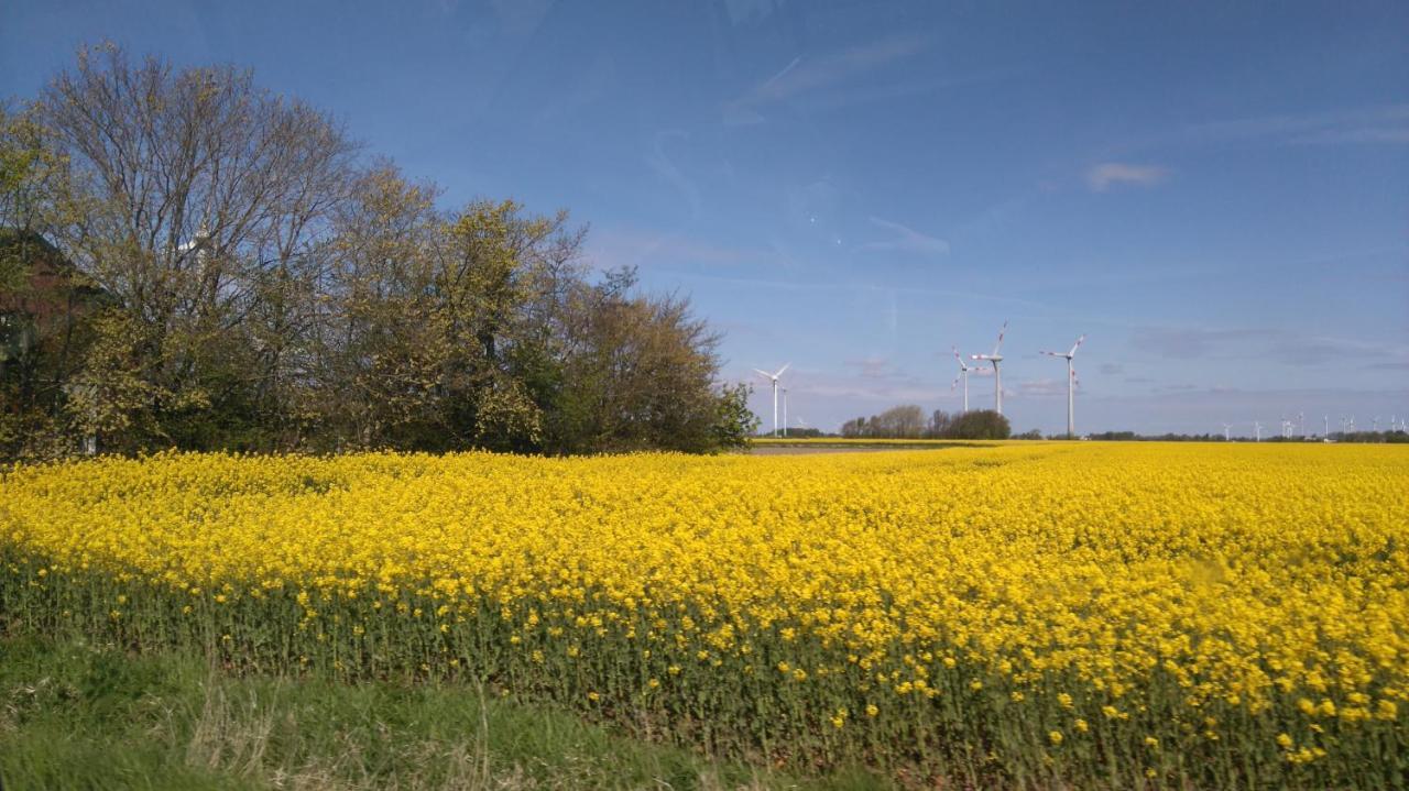 Villa am Deich Westerdeichstrich Esterno foto